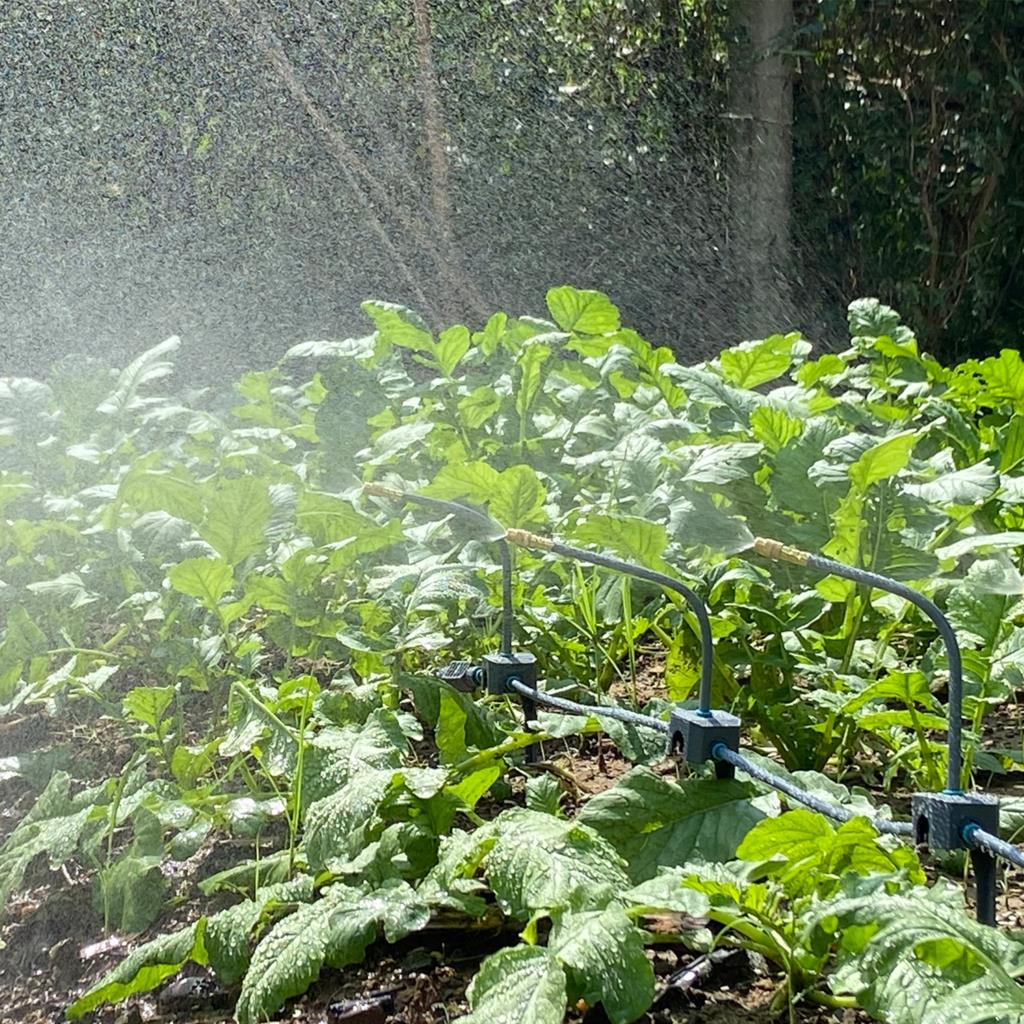 Watering System 5M-30M Drip Ir - Bonsai Gardenia ulasan dan harga