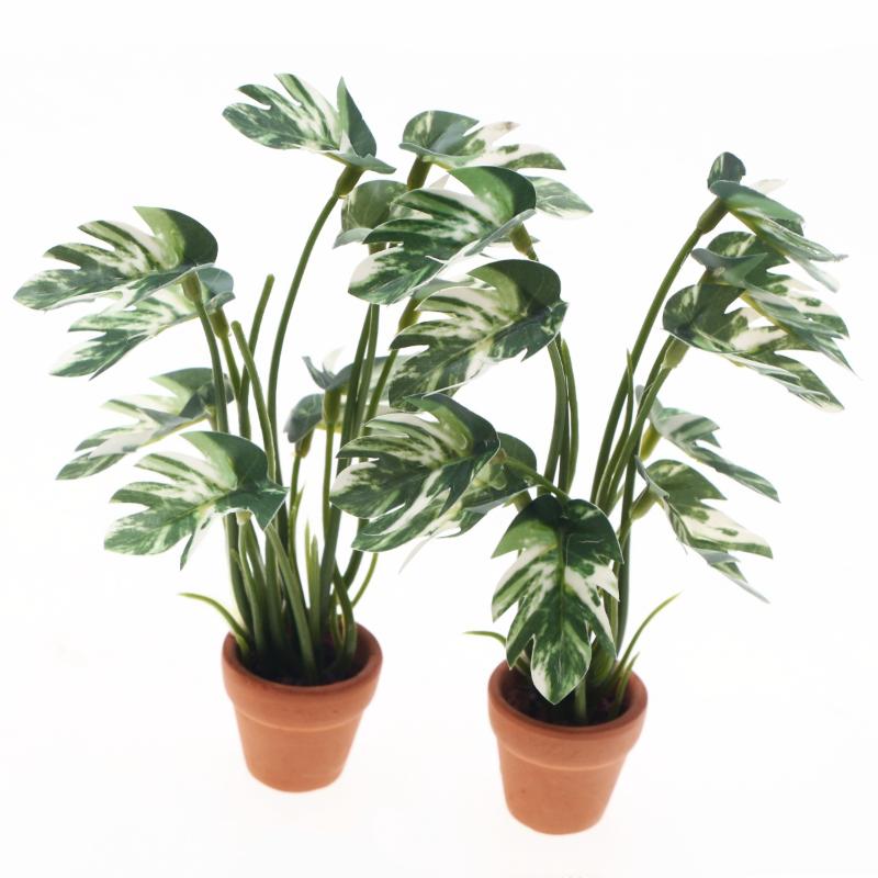New.1PC 1/12 Dollhouse Simulat - Bonsai Gardenia ulasan dan harga