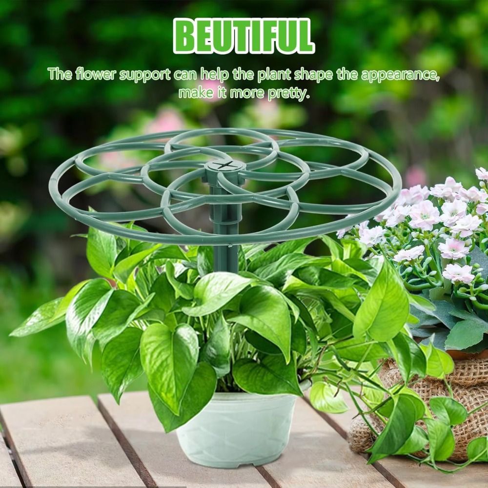 New S/M/L Bonsai Climbing Fram - Bonsai Garden Stand ulasan dan harga