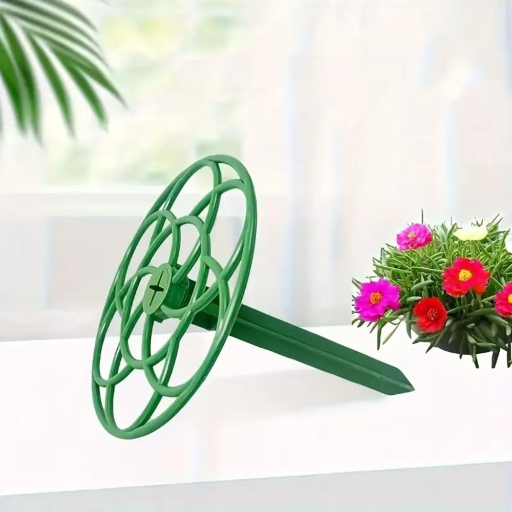 New S/M/L Bonsai Climbing Fram - Bonsai Garden Stand ulasan dan harga