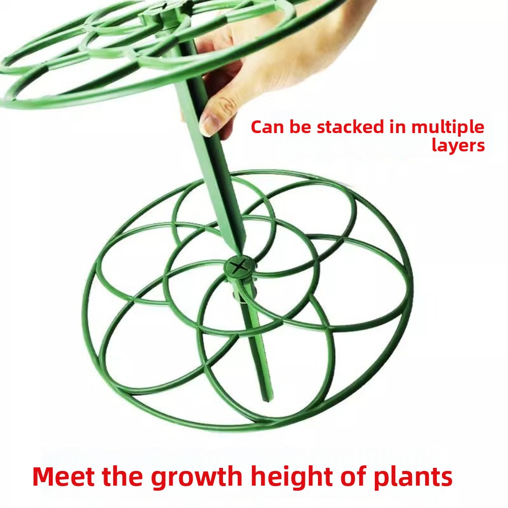 Durable S/M/L Bonsai Climbing  - Bonsai Garden Stand ulasan dan harga