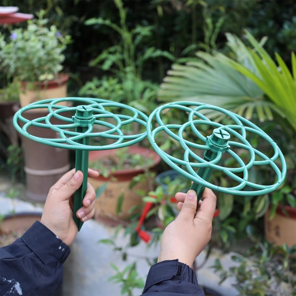 Durable S/M/L Bonsai Climbing  - Bonsai Garden Stand ulasan dan harga
