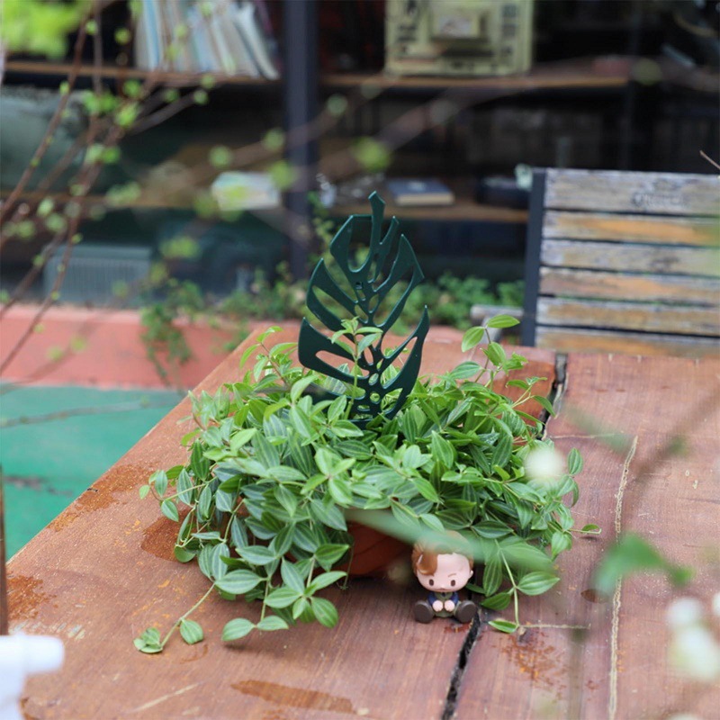 Plant Climbing Support Stand F - Bonsai Garden Stand ulasan dan harga