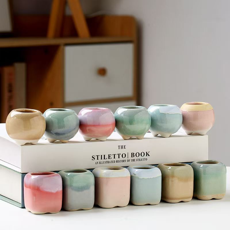 6Pcs Mini Flowerpot Succulents - Bonsai Gardenia ulasan dan harga